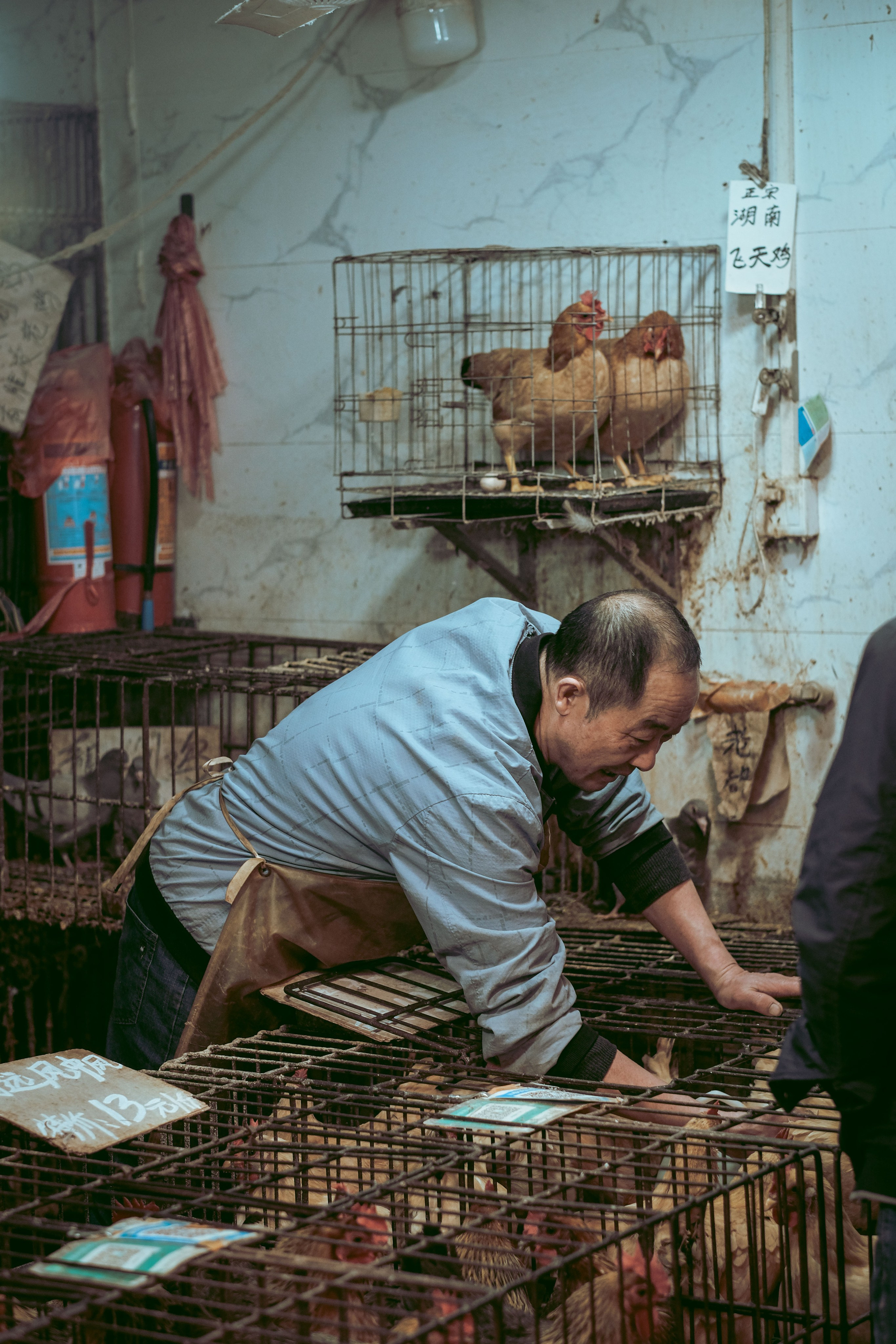Exploring Farmers Markets in China: A Photo Review by Yukophotography