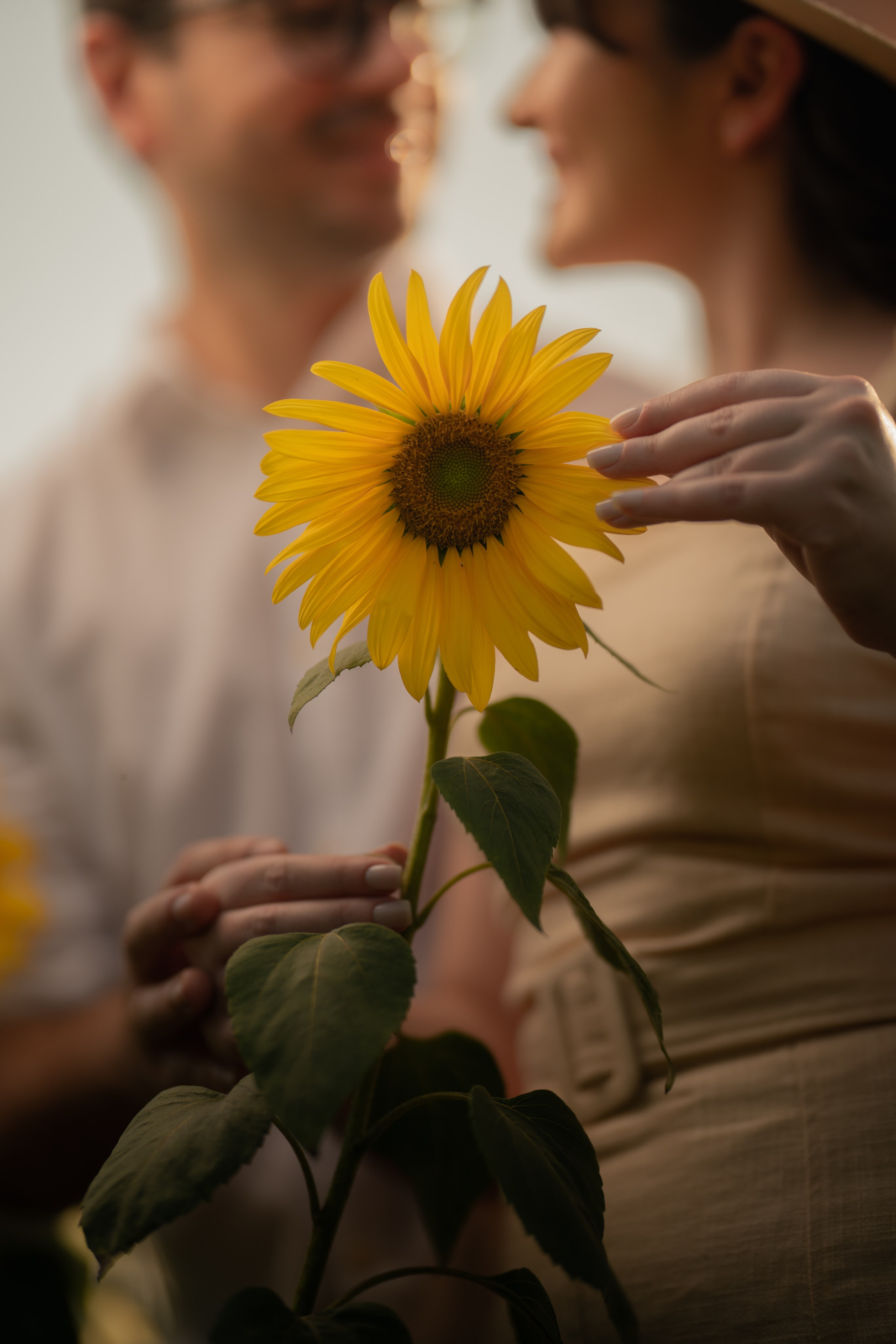 Fotógrafo de Casamento, grávida, Retrato, Corporativo