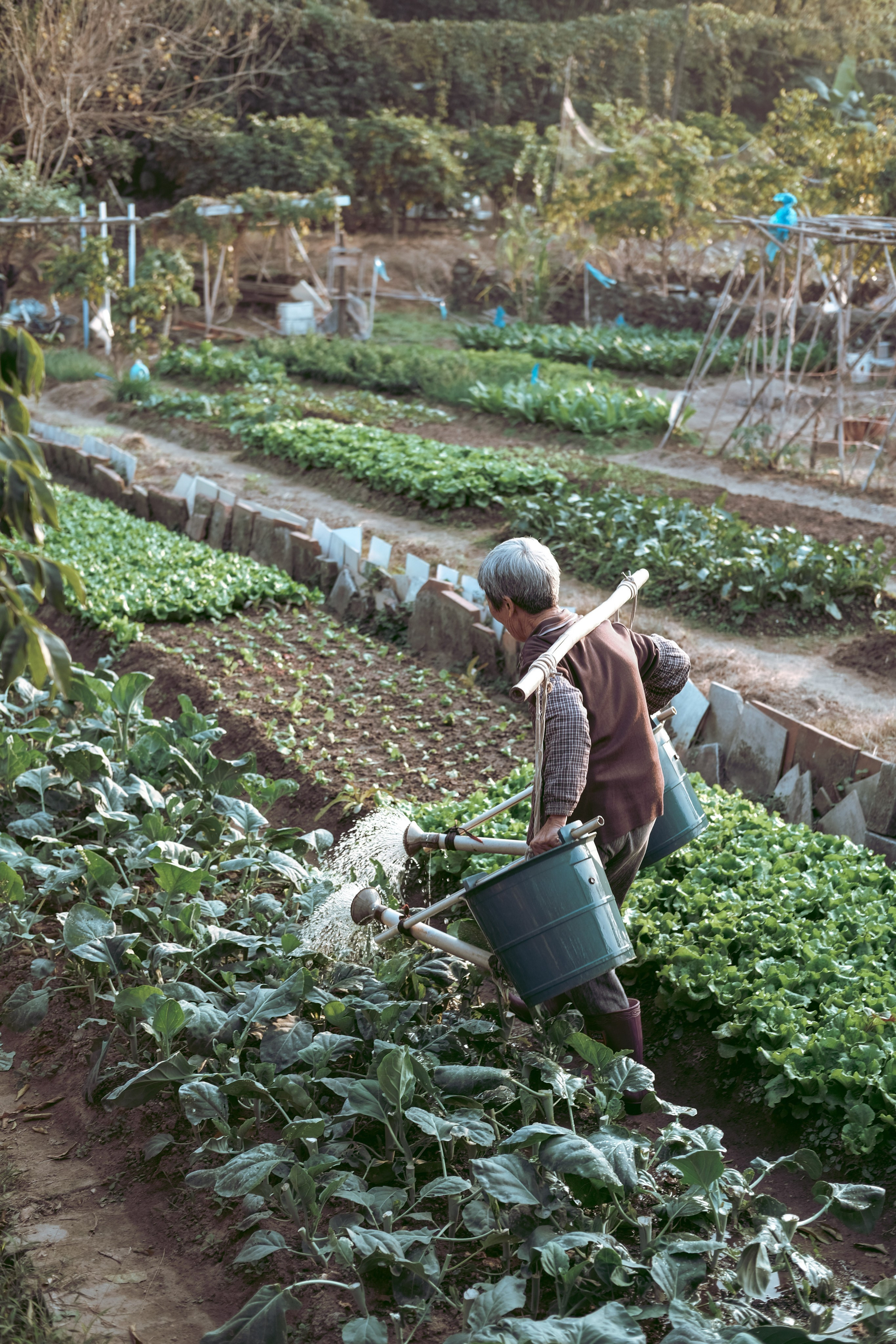 广州深井古村 | Shenjing Ancient Village