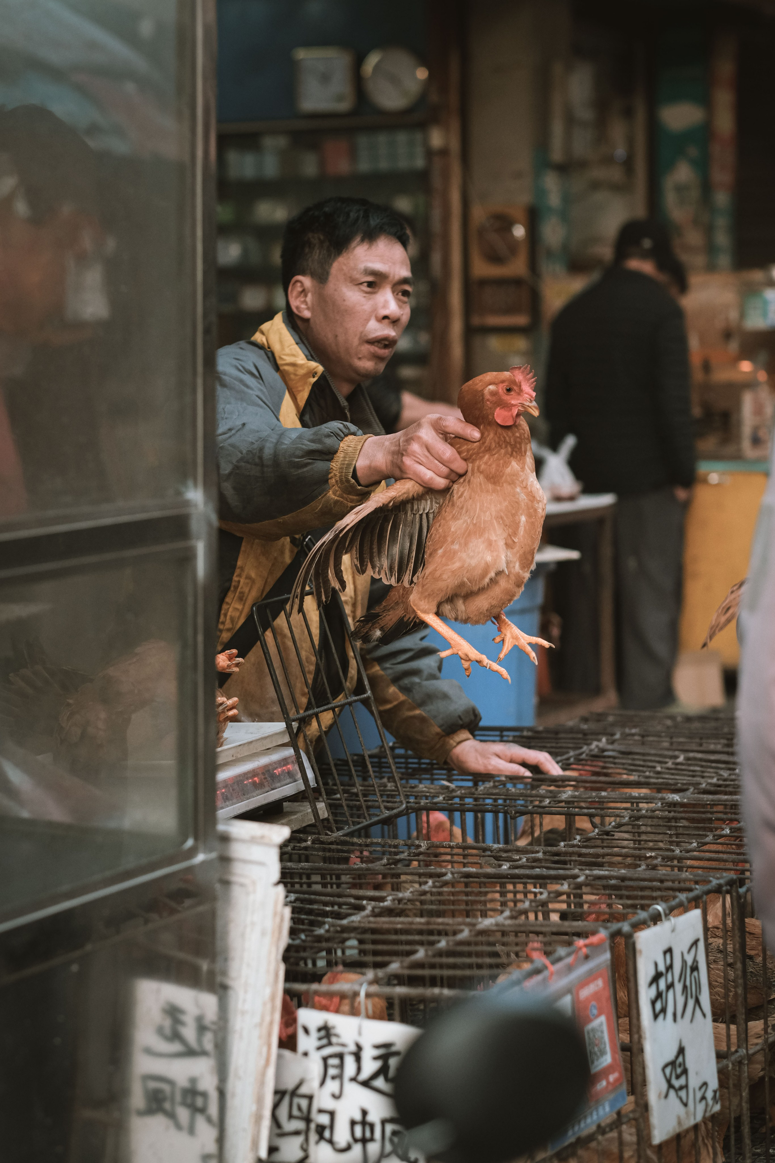 Exploring Farmers Markets in China: A Photo Review by Yukophotography