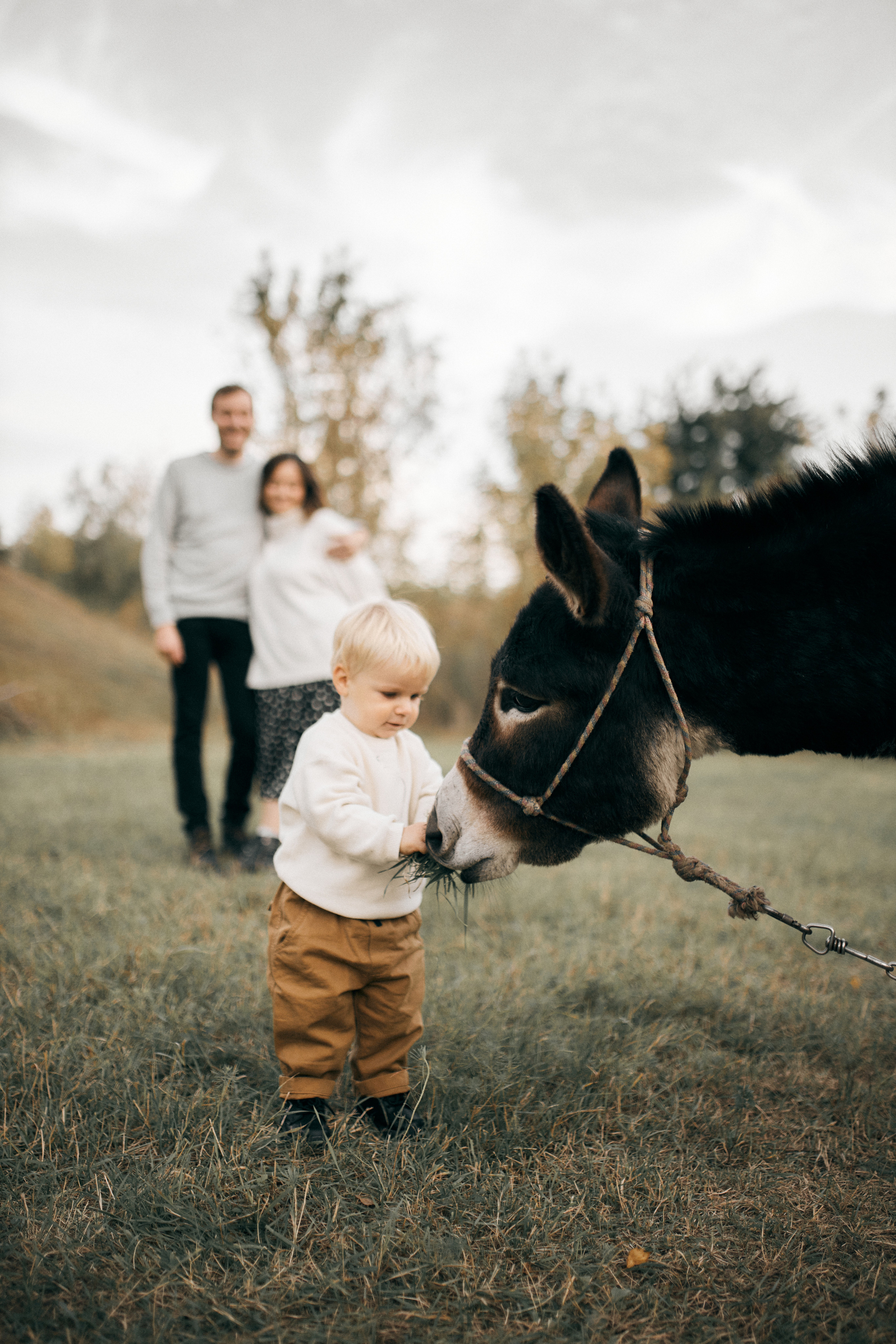 Вартість зйомок. Сімейний фотограф в Києві
