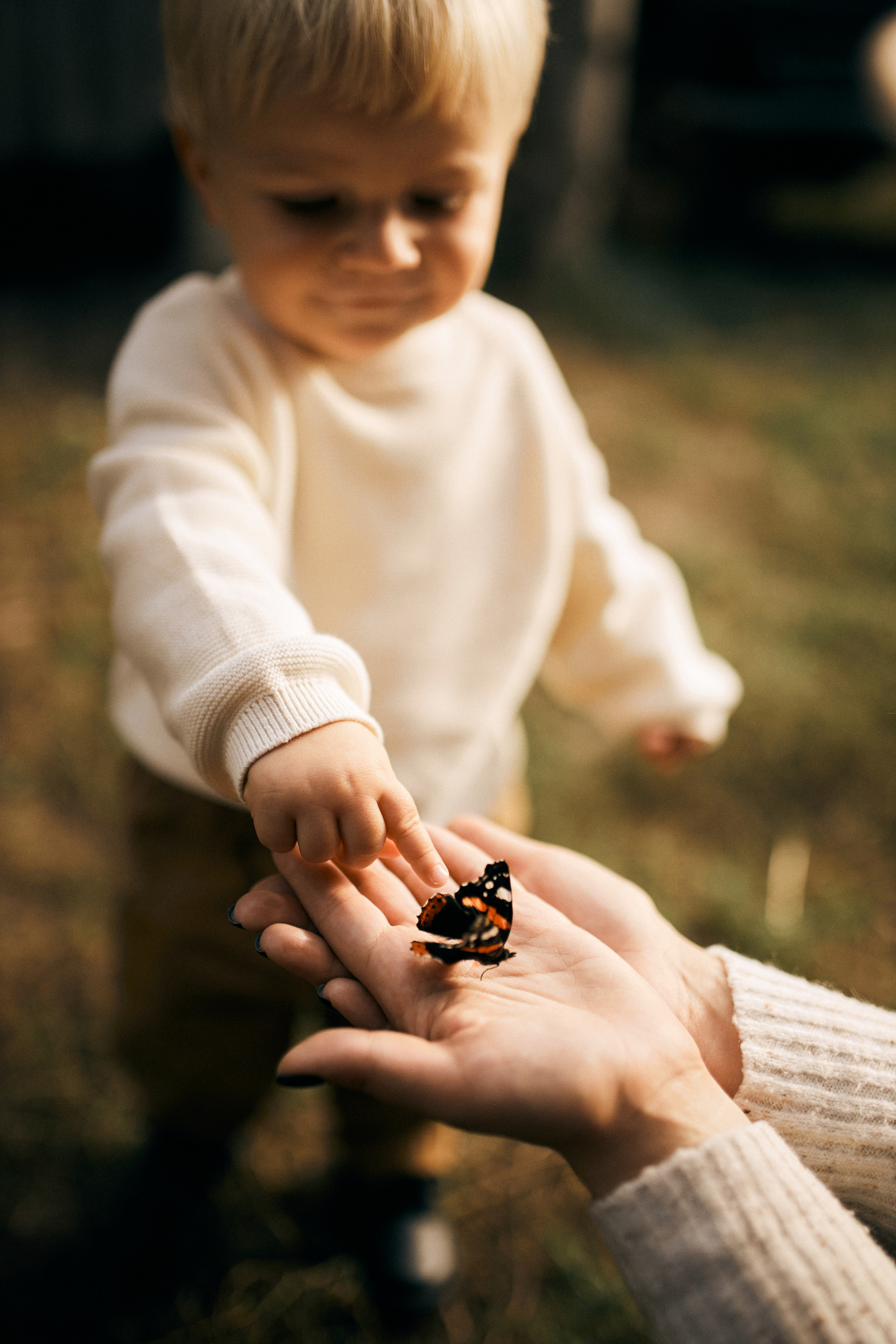 Вартість зйомок. Сімейний фотограф в Києві
