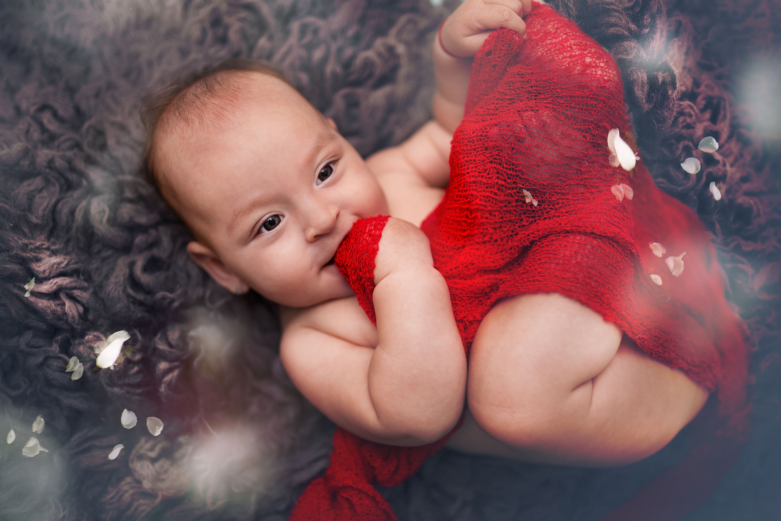 Tarife. Fotografie si videografie in Romania