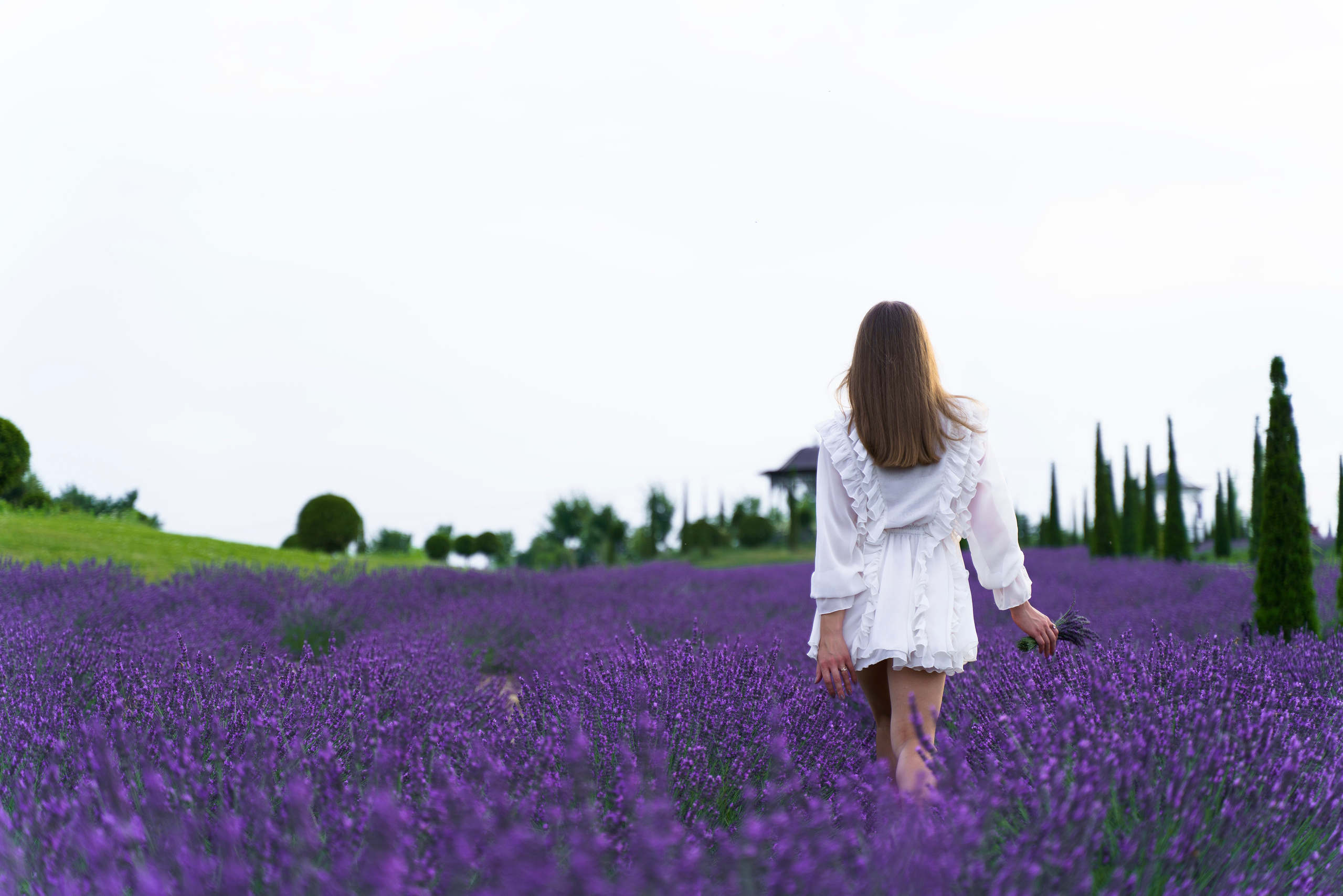 Фотосесія в лаванді. Family photographer in Kiev Natalia Shkavron