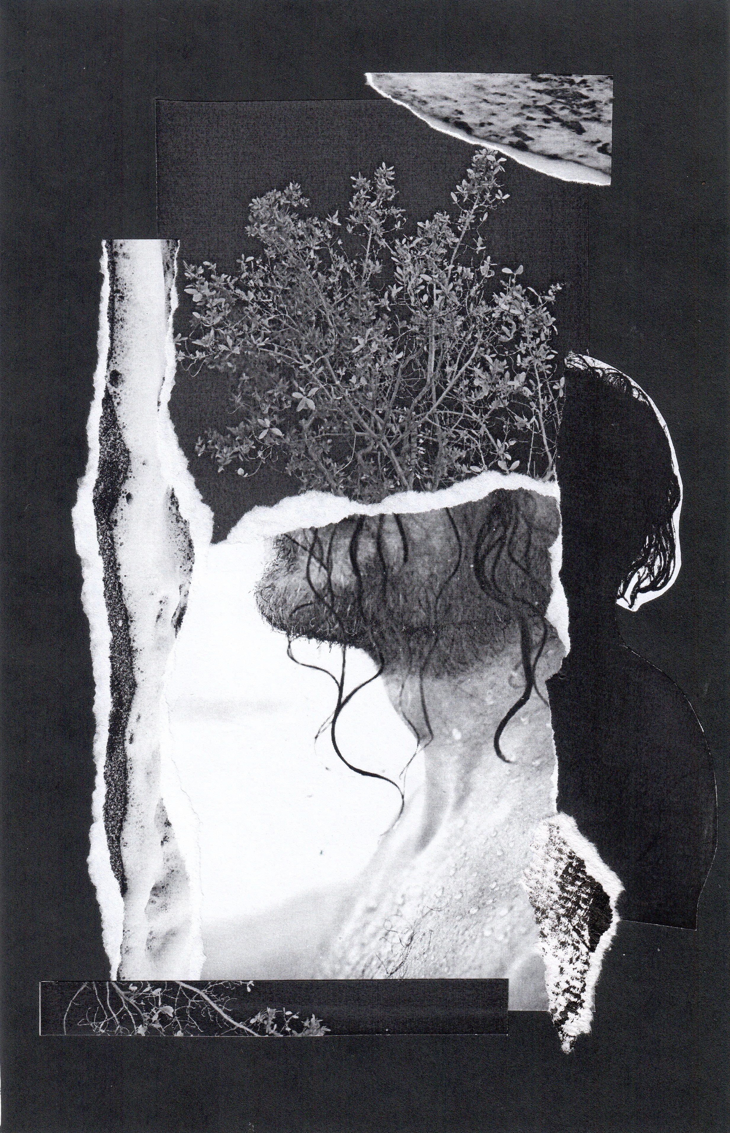 MAN. Mixed media artist, photographer, visual artist New York