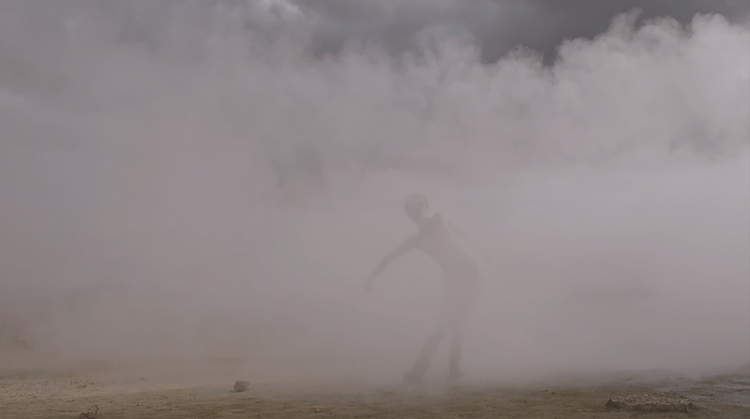 Photography. Charley Stadler