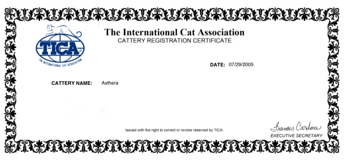 TICA cattery registration certificate