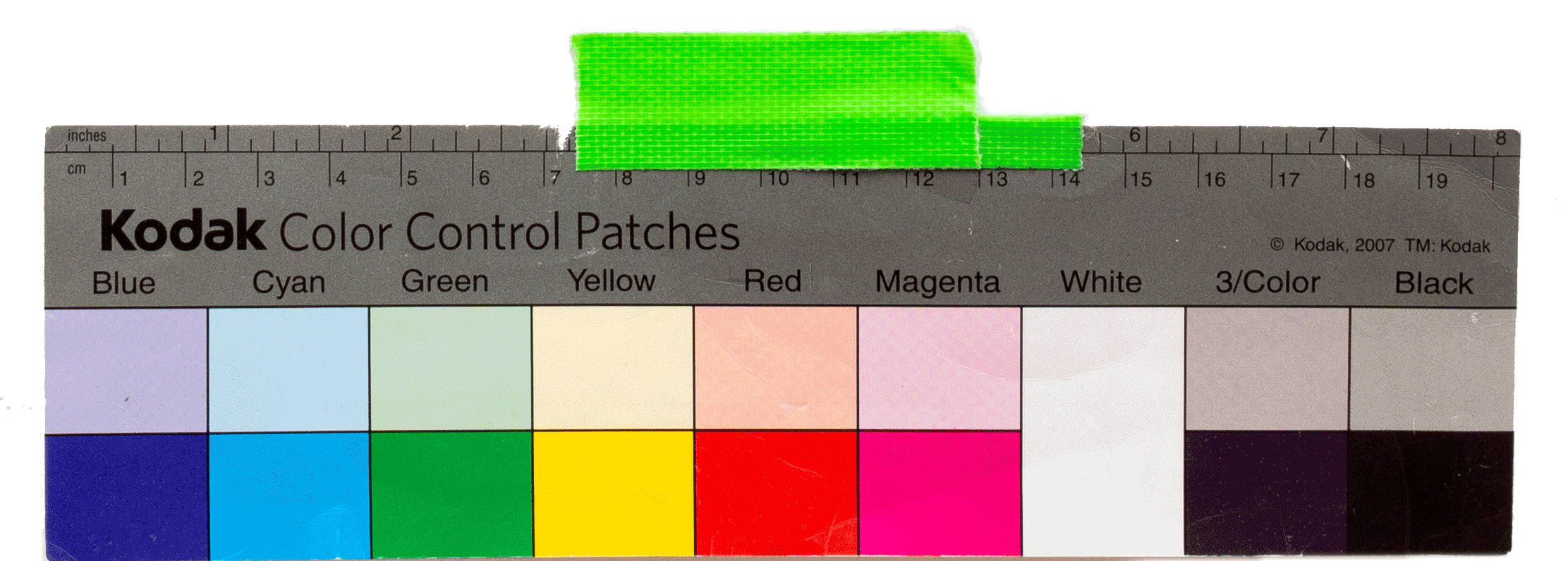 Contact. Anastasia Musinova