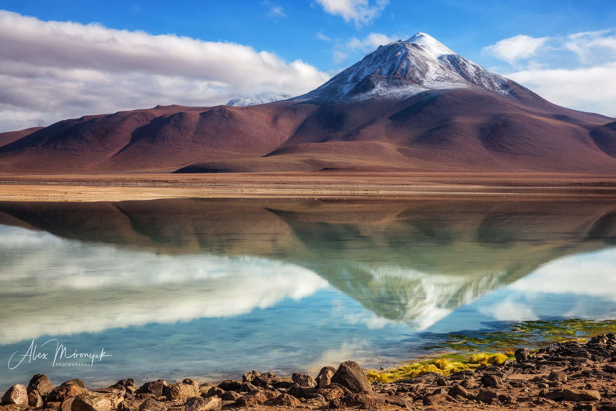 Bolivia Adventure. Pet, Senior, Landscape, portrait studio, photographer in Miami and Sou