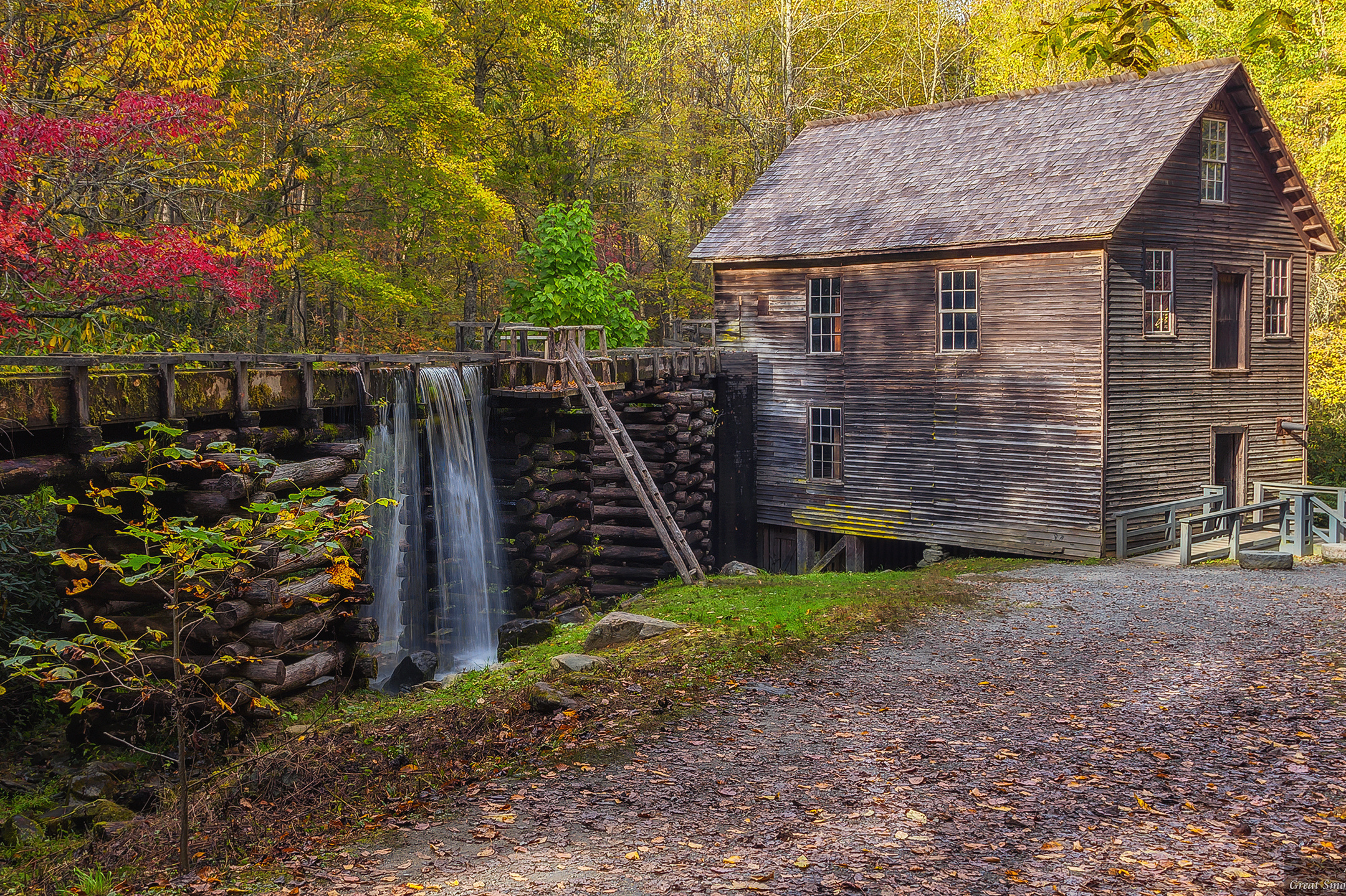 Осень в Больших Дымчатых Горах. Alex Mironyuk Photography
