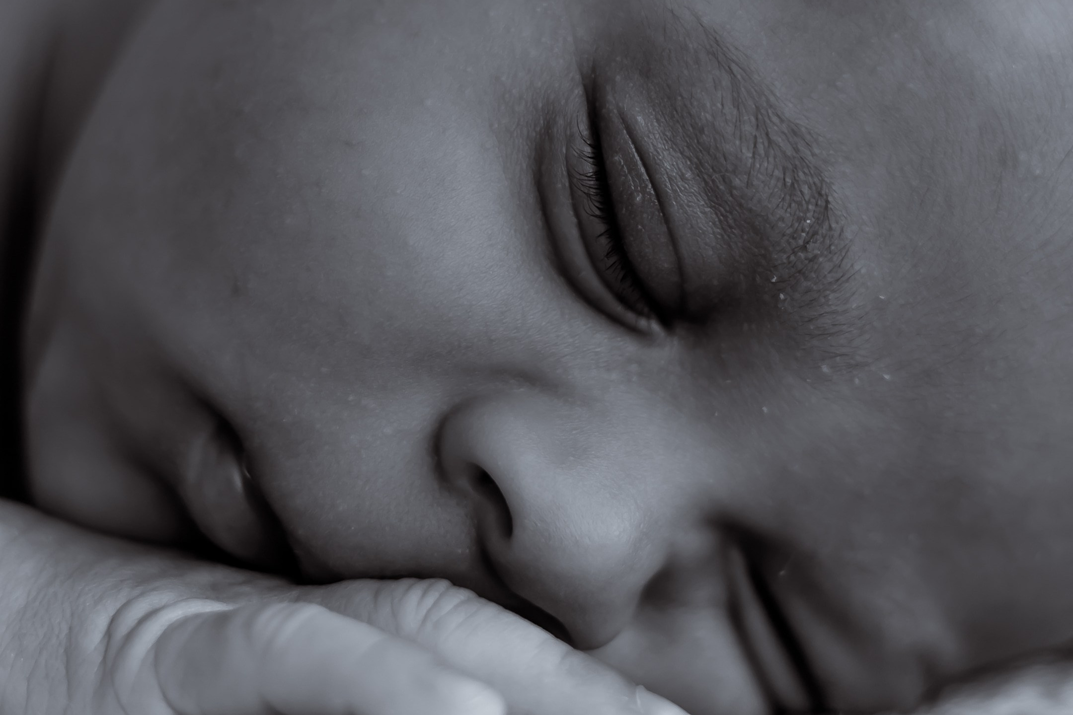 Fotógrafa de familia no Rio de janeiro