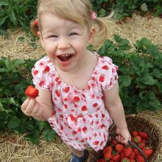 Полуничний фотопікнік 2021. Сімейний фотограф Київ Наталія Шкаврон