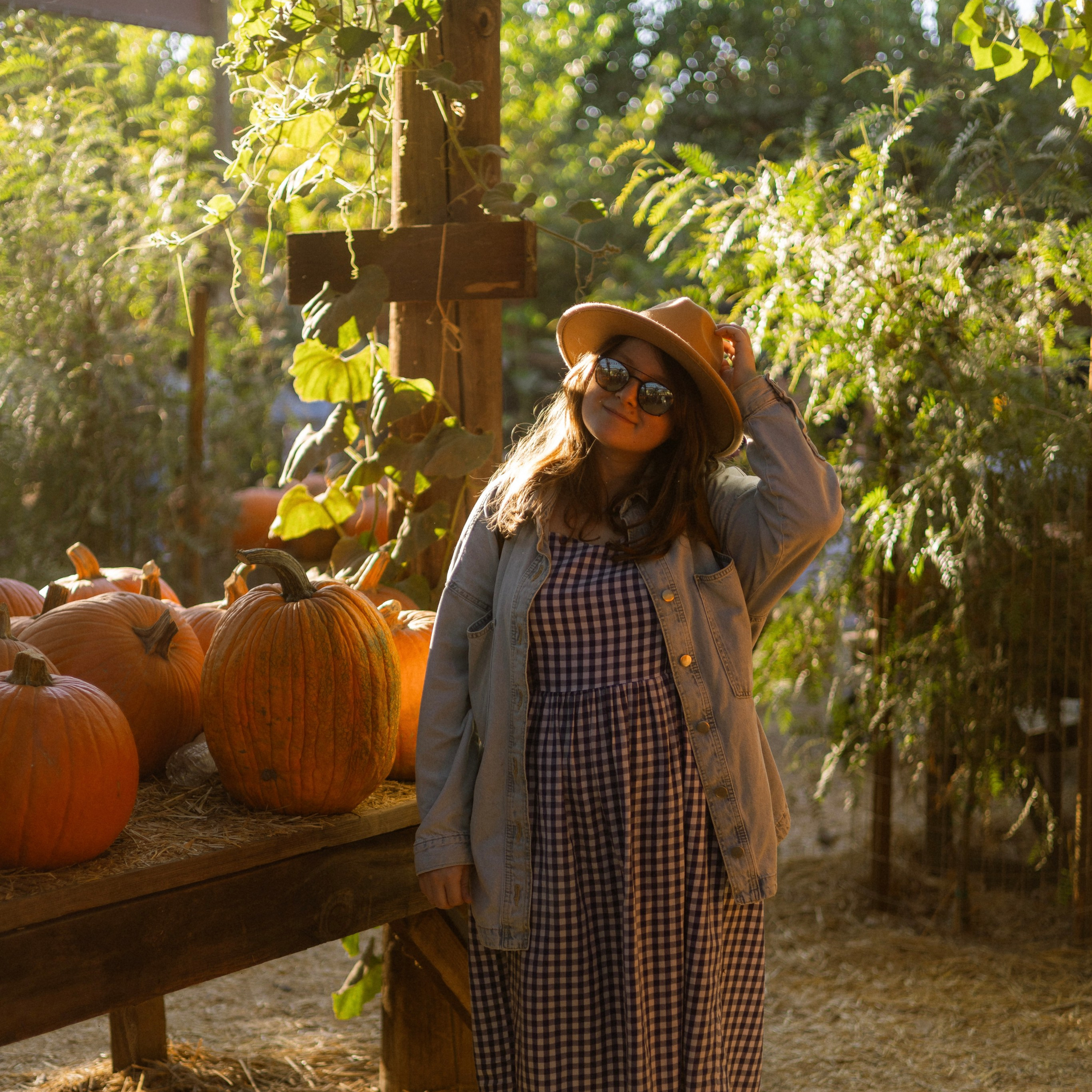 Pumpkin Patch Wallpapers. Photographer in Los Angeles. Julia Ishmuratova