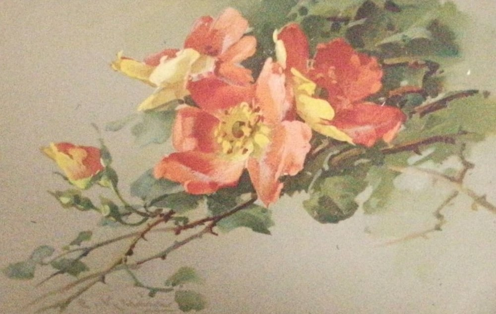 Vintage-Postkarten – Stillleben von Catharina Klein. Fotografin, Sammlerin von Vintage-Postkarten und Schöpferin von Geschichten an der Schnittstelle zwischen Vergangenheit und Persönlichem. Ir