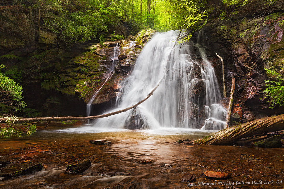 Smokey Mountains Черновик программы. Pet, Senior, Landscape, portrait studio, photographer in Miami and Sou