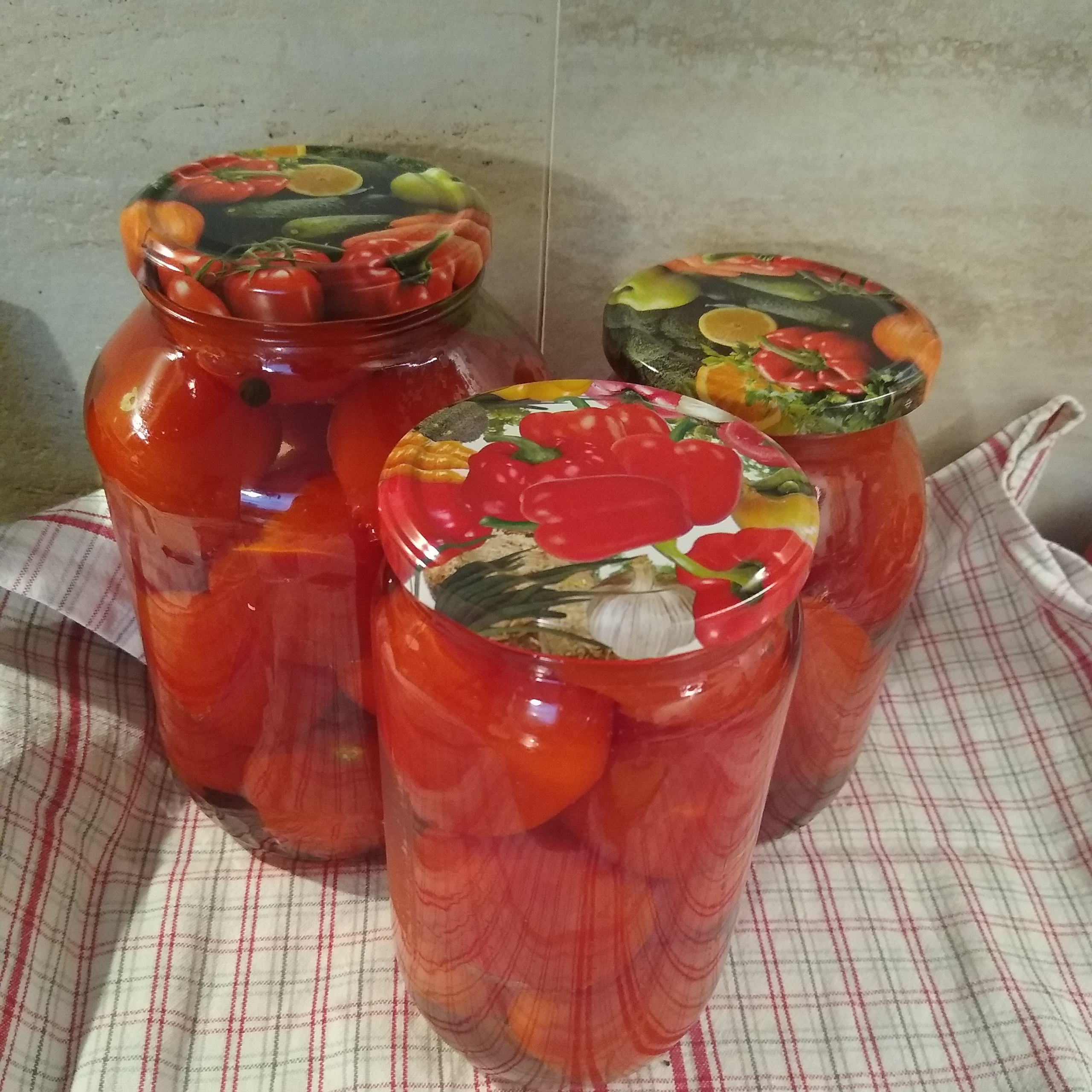 August. Kiki-Niki-Cha! Learn, play, and discover with us!