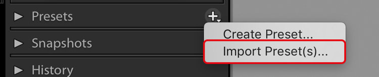 How to install presets. Photographer and retoucher Elena Skullova