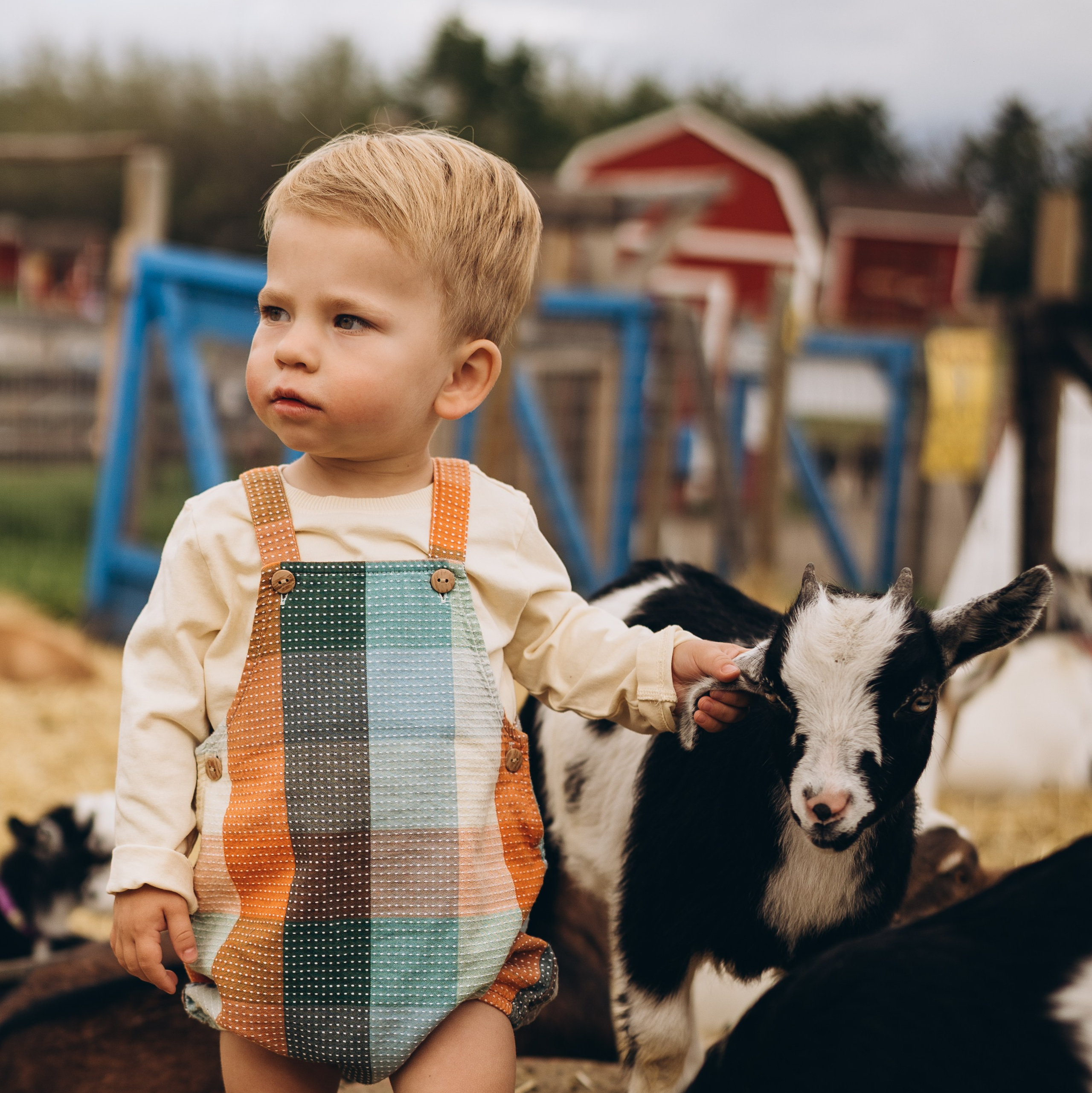 LIFESTYLE SESSIONS. Calgary Wedding & Lifestyle Photographer — Yevhen Polishchuk