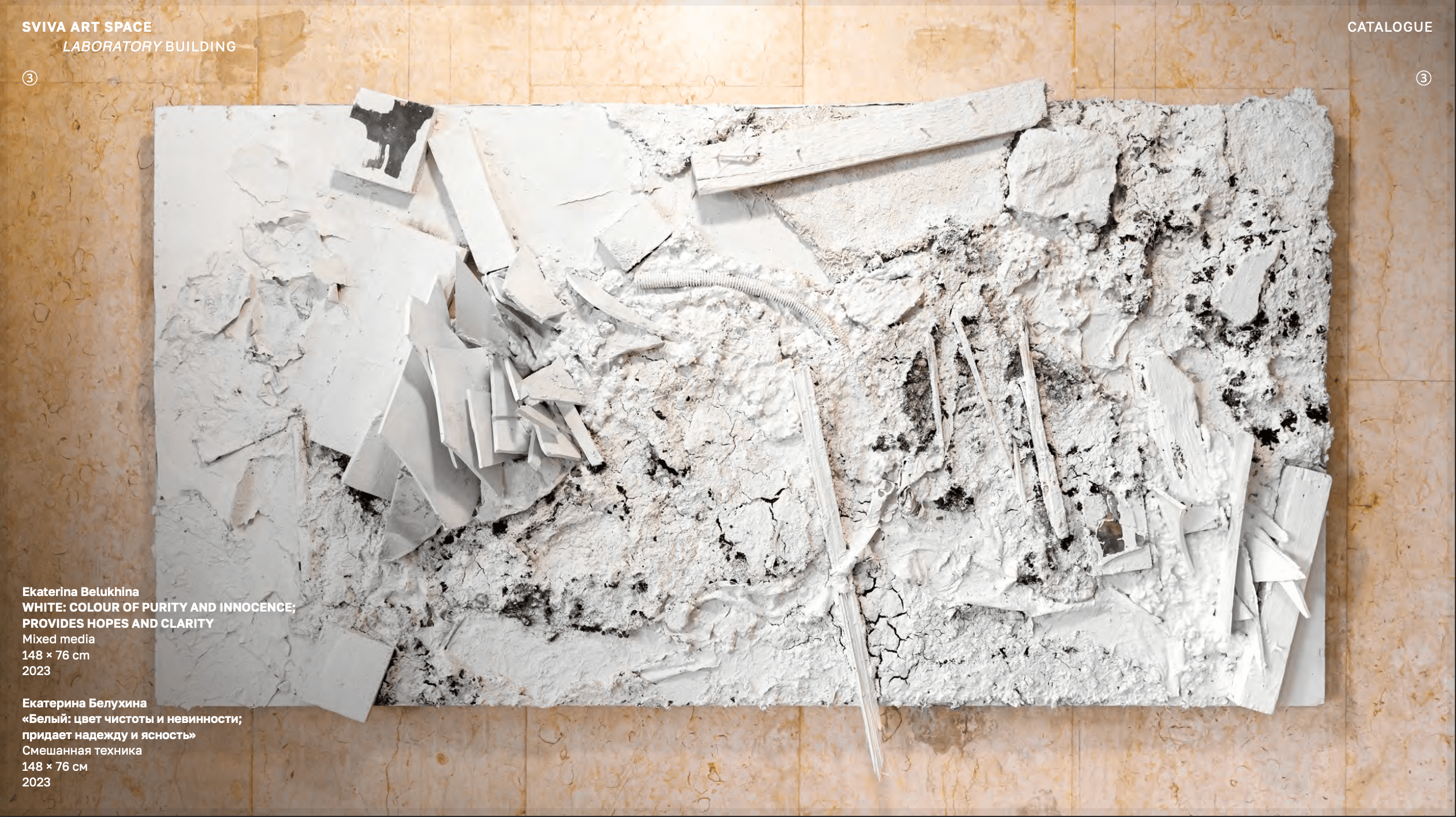 SVIVA STATION. Ekaterina Belukhina: Multidisciplinary artist