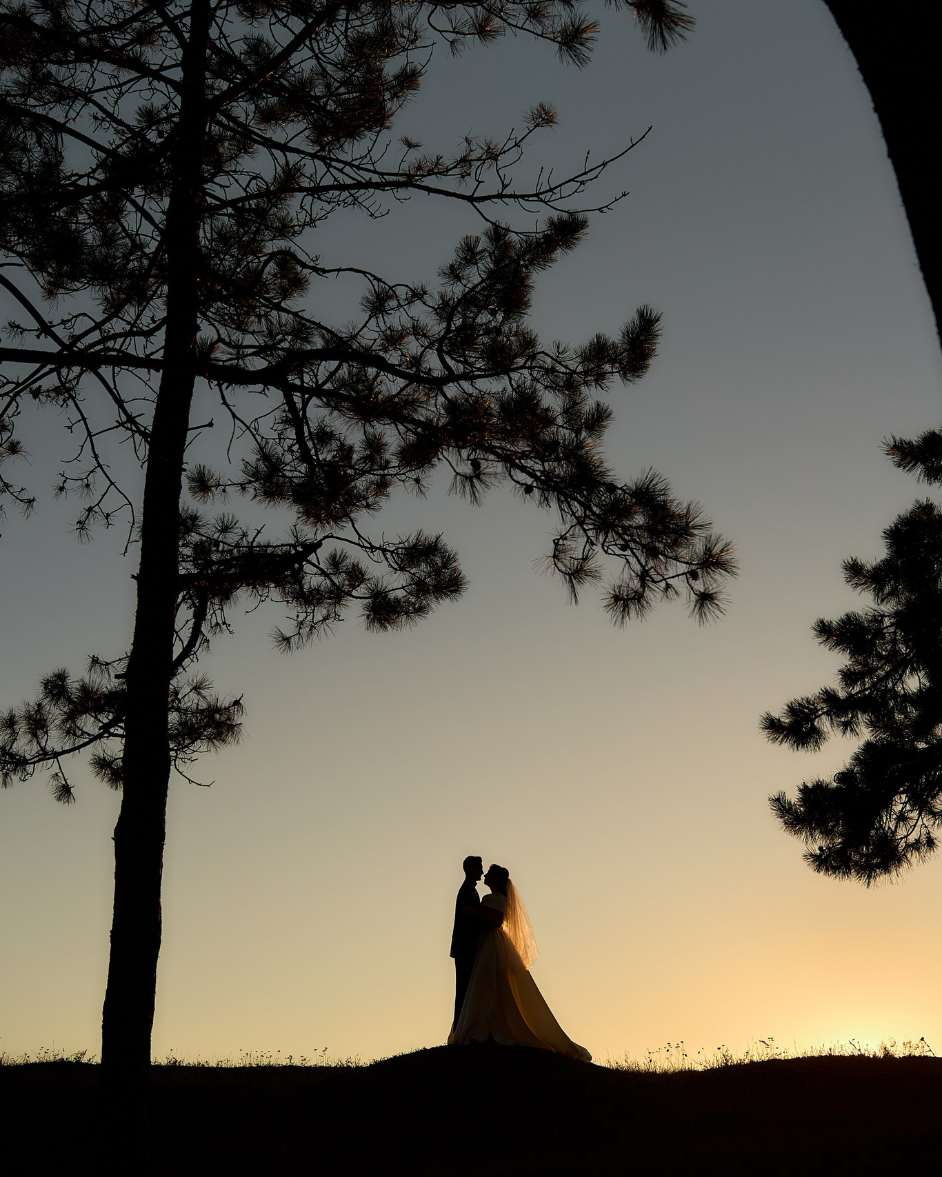 Services (Price2026). FusaWedd