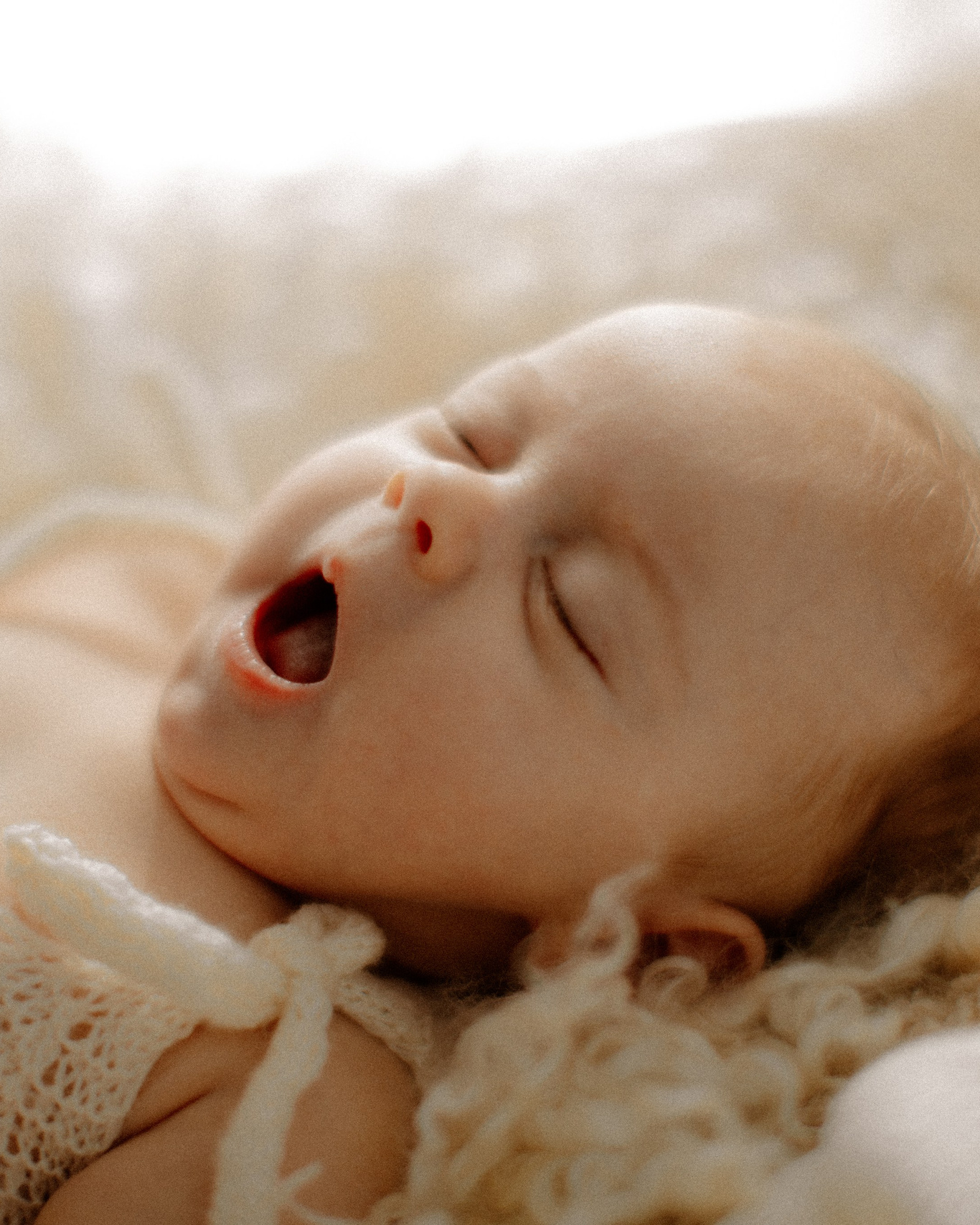 Viktorija Gibert Fotografie