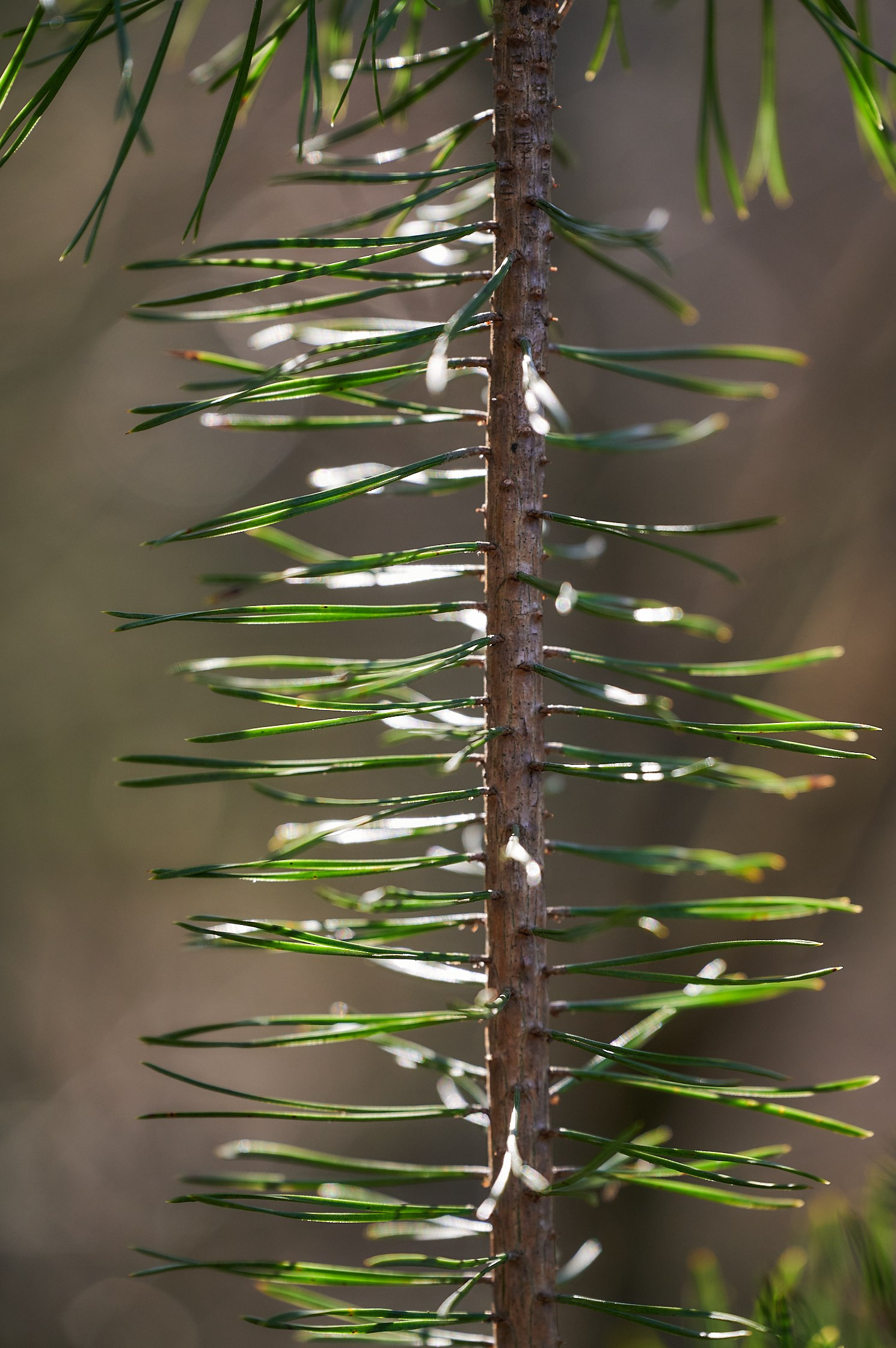 My favourite photos, class of 2024. Yuri Popkov | Photographer