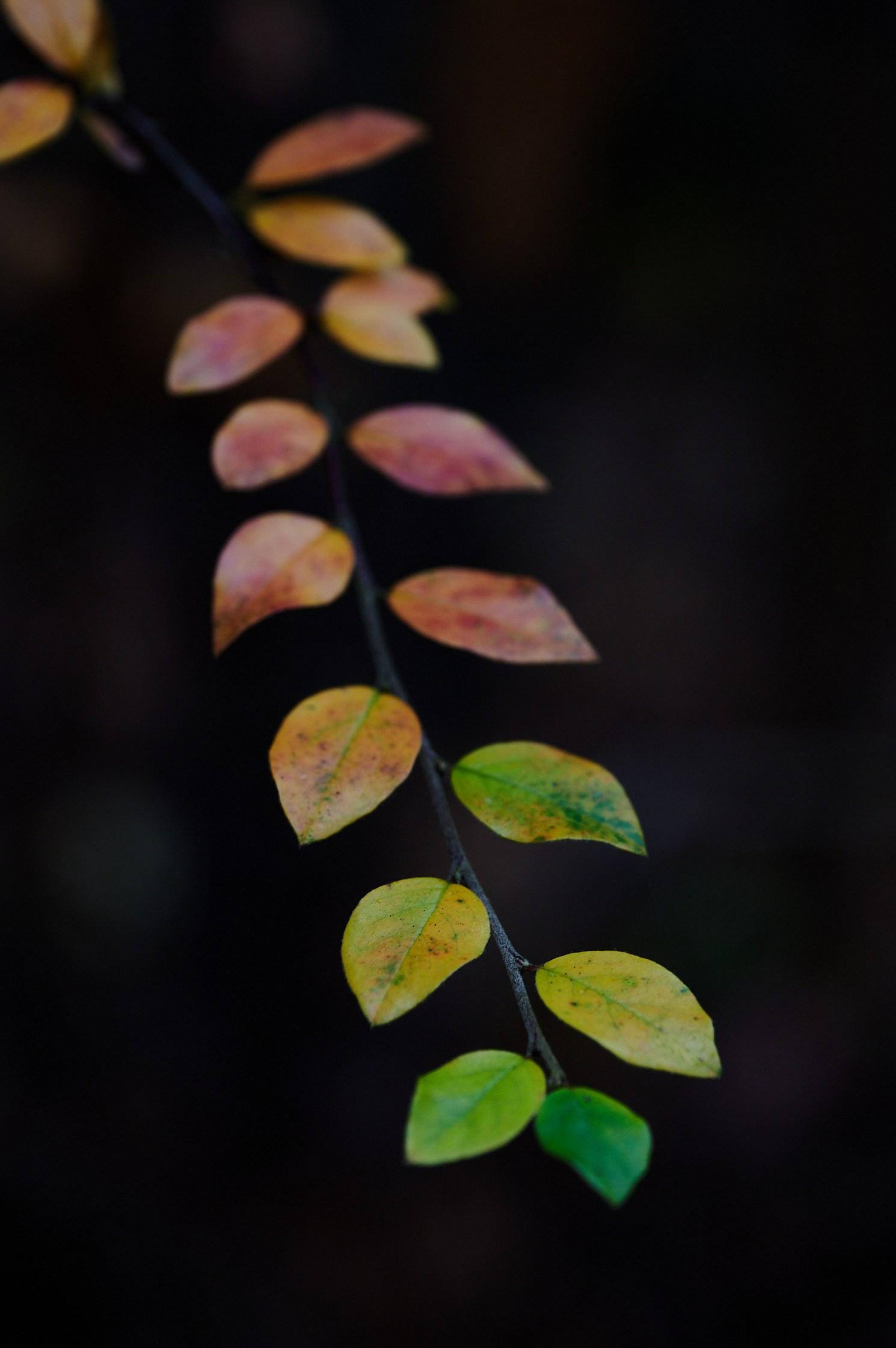 My favourite photos, class of 2024. Yuri Popkov | Photographer