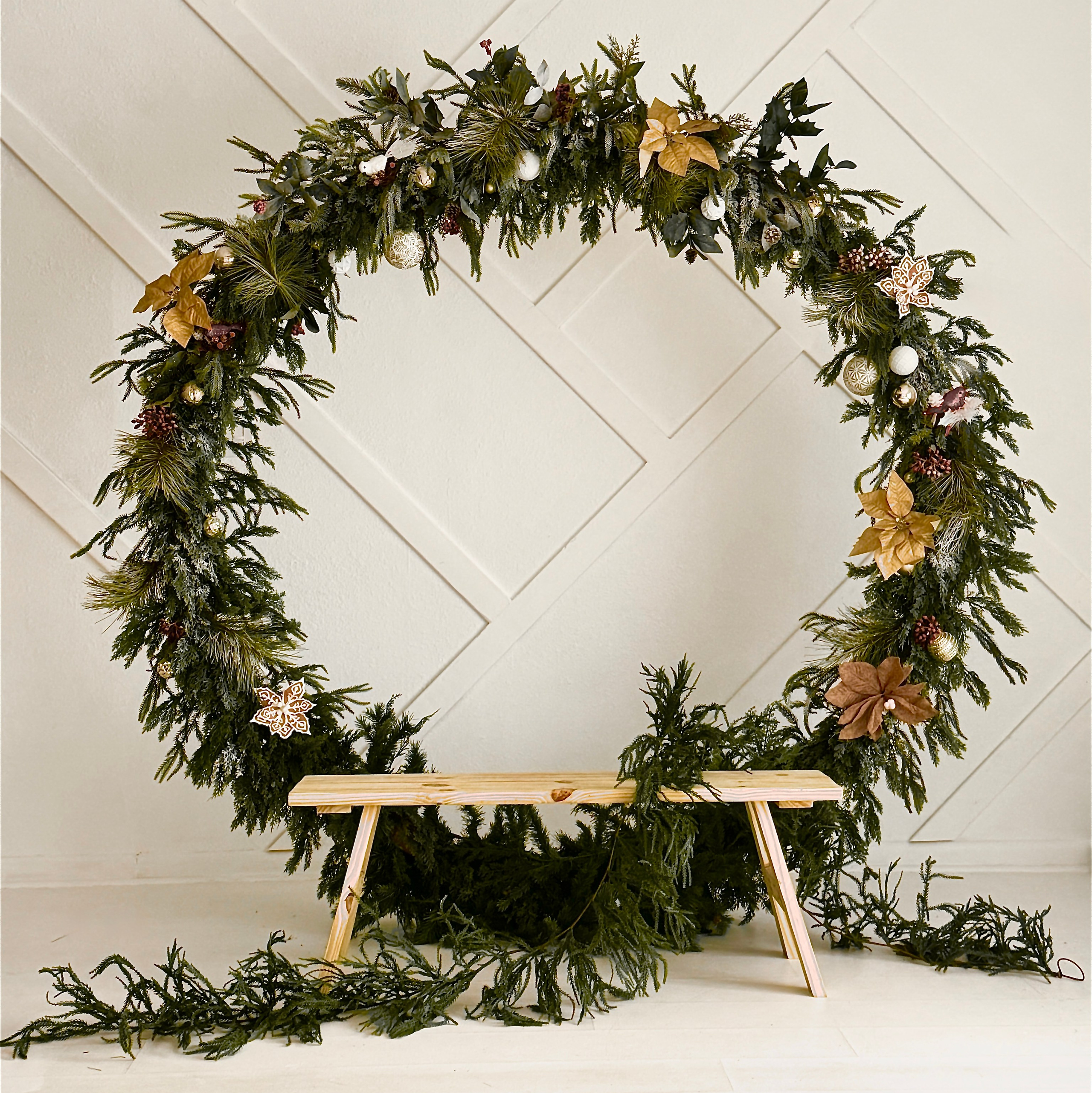 Christmas Studio Mini Sessions — Family Photography in Jacksonville, FL