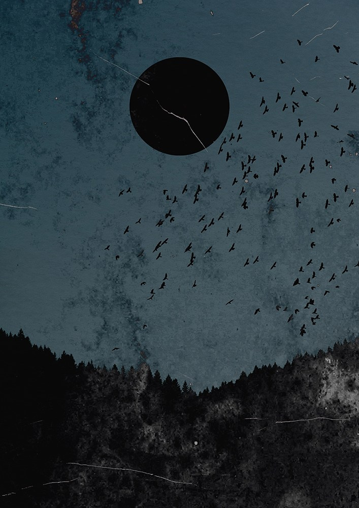 BIO/Statement. OLGA REPTIK