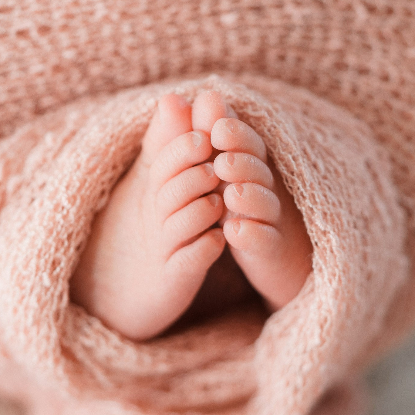 Newborn photography packages 2025