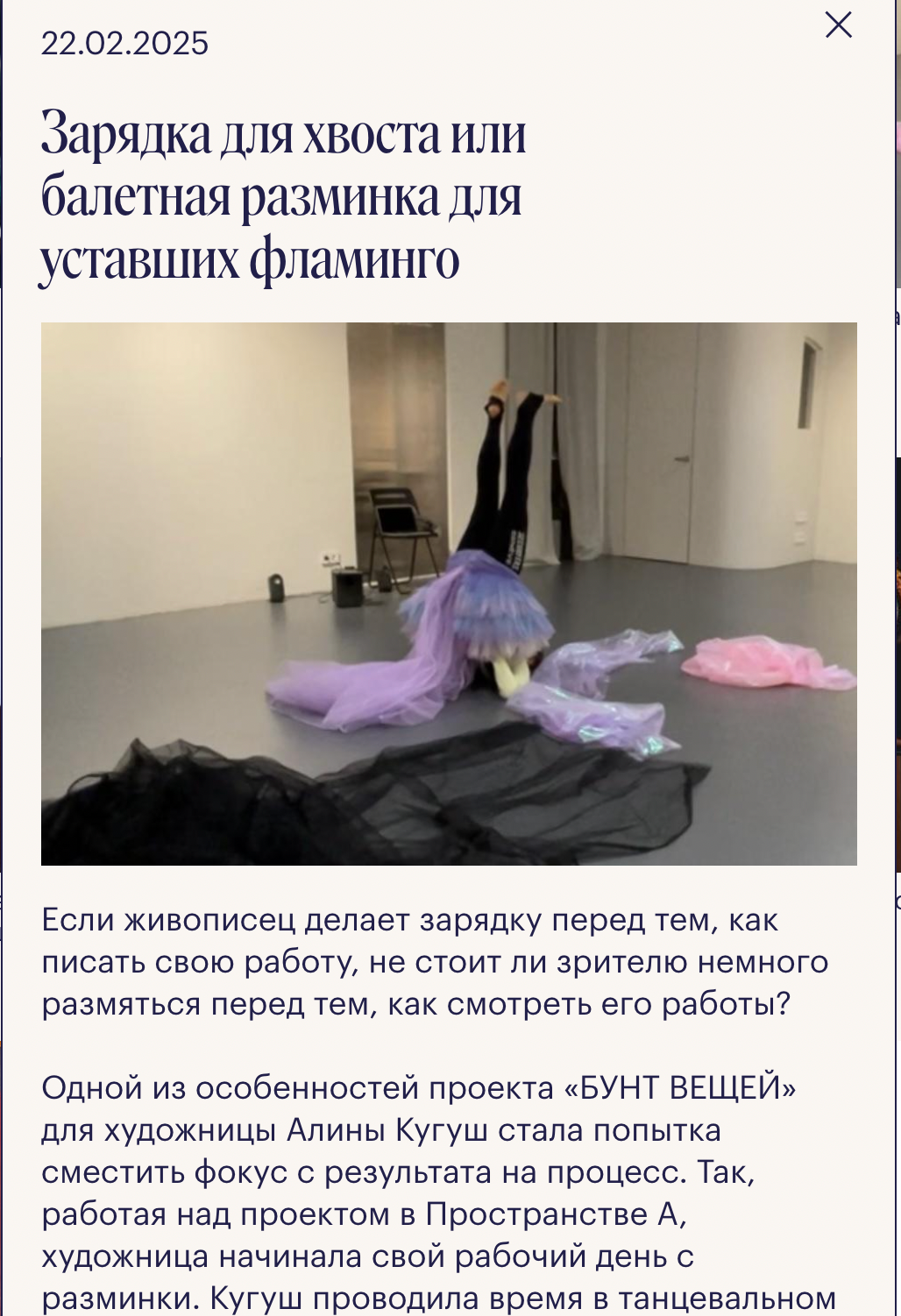 Публичная программа к проекту «Бунт вещей». Alina Kugush