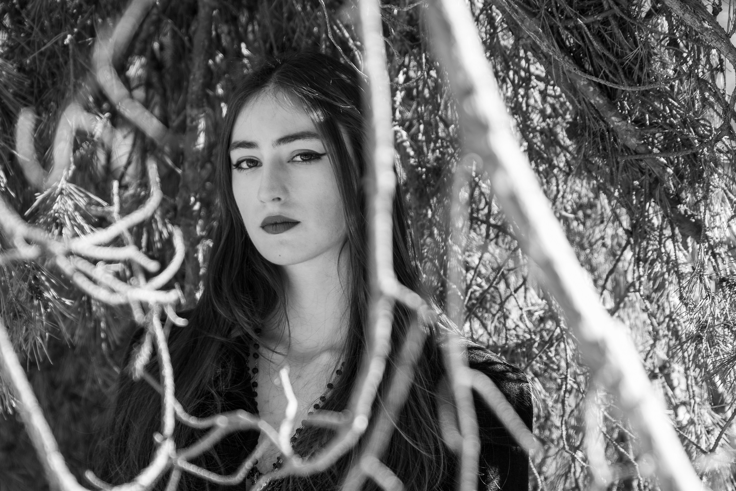 Prizonieră la castel. Daniel Hașiegan