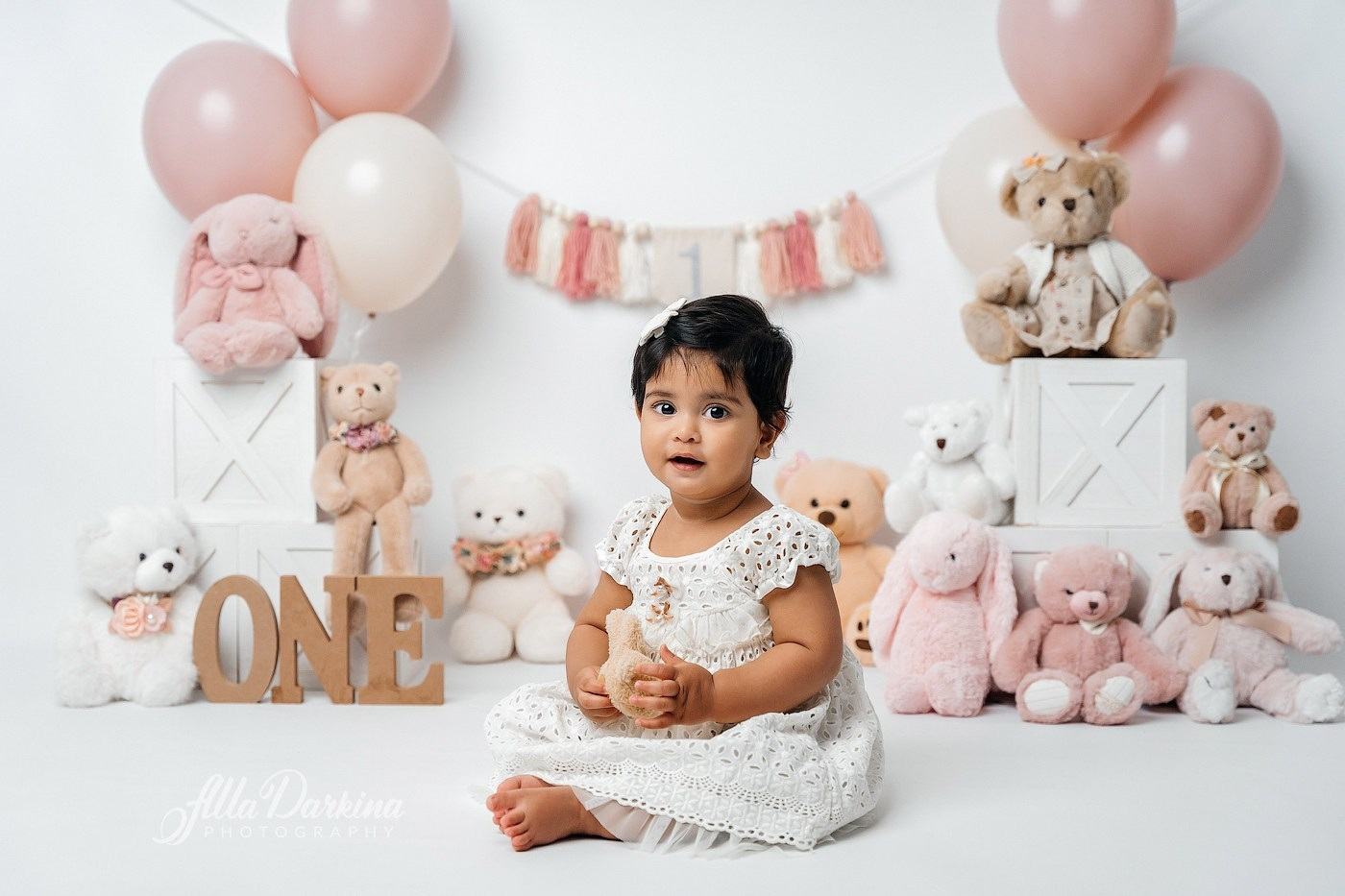 Cake Smash Themes. Newborn and family photographer. Hills District. Sydney