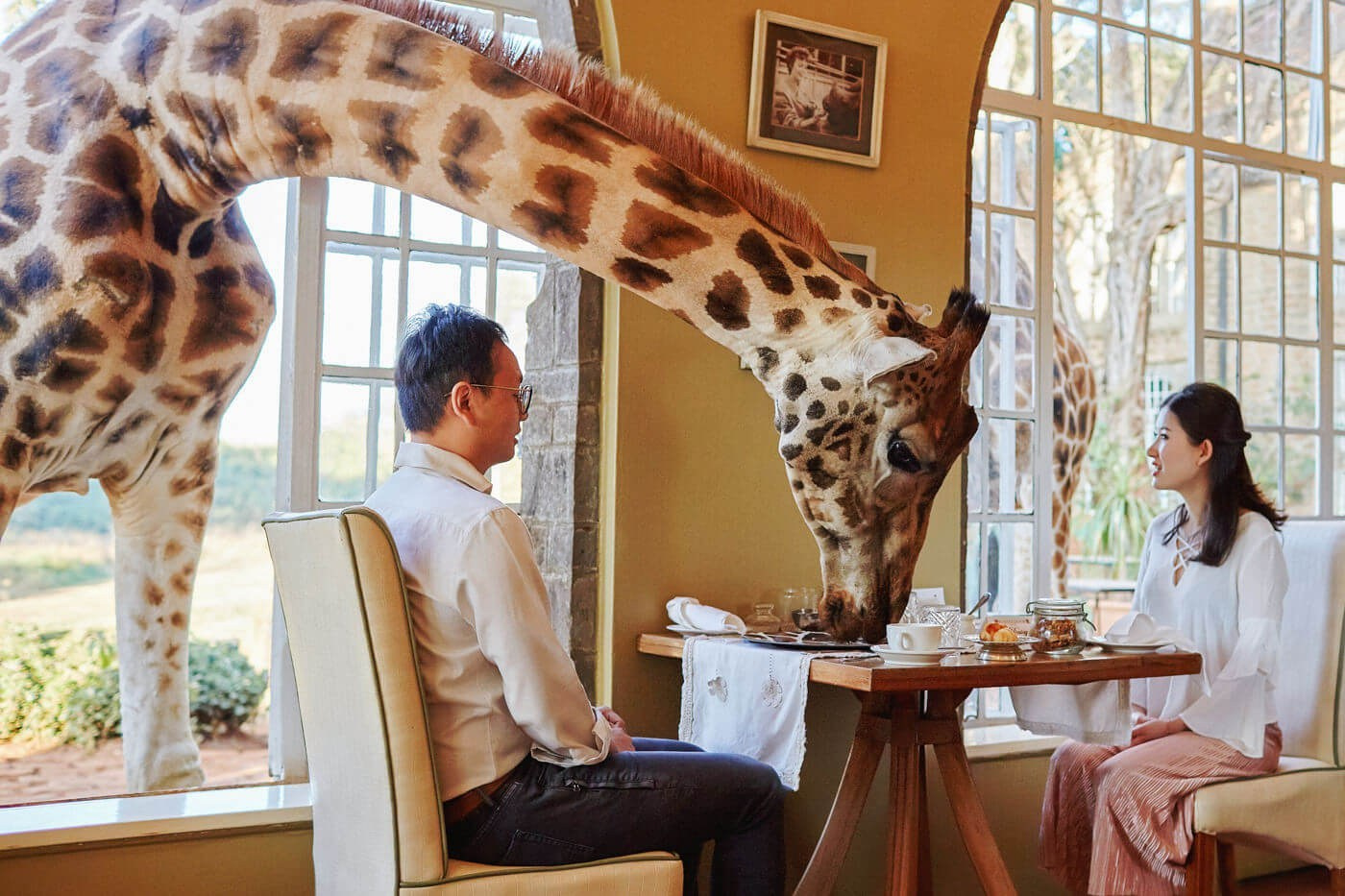 Giraffe Manor destination pre-wedding portraits in Nairobi, Kenya