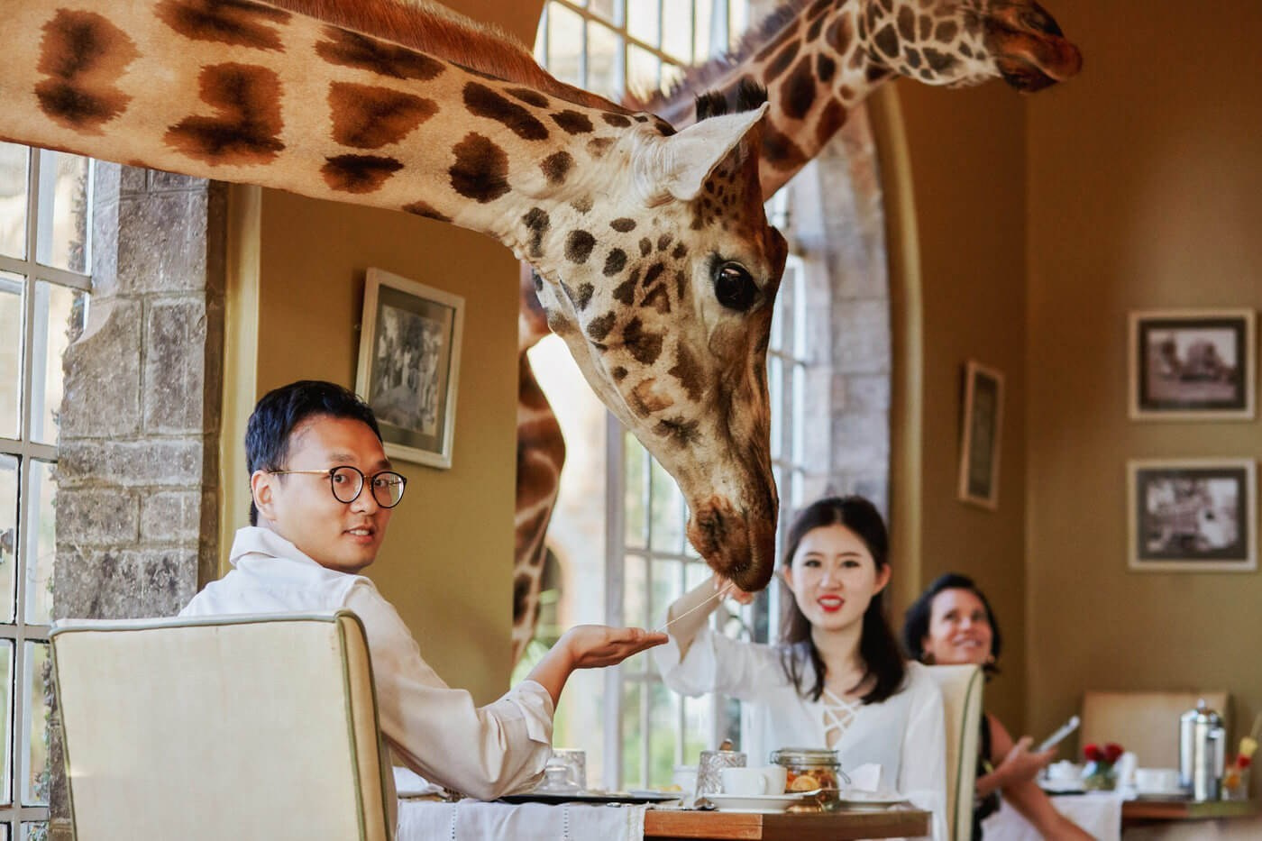 Giraffe Manor pre-wedding shoot for Chinese bride and groom