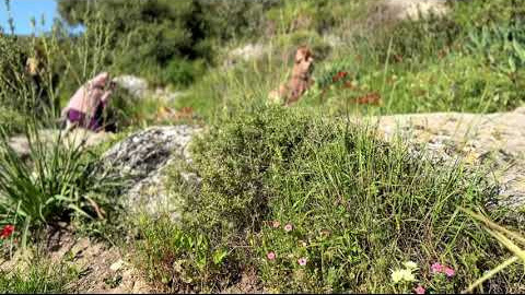 В ожидании чуда. Фотограф. Визуал. Хайфа. Талья Цветкова
