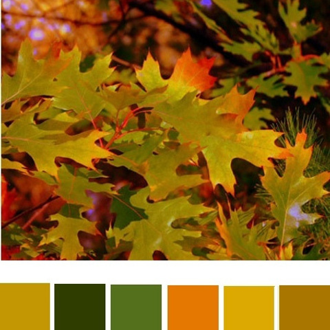 Одежда для съёмки осенью. Фотограф в Одессе, Киеве, Донецке Helena