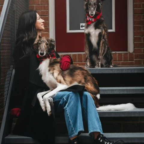 Testimonials. Pet Photographer Viktoriya Aleshenko