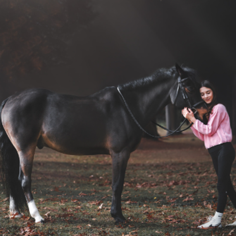 Testimonials. Pet Photographer Viktoriya Aleshenko