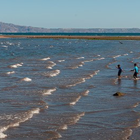 Artist Collection. Wedding & Family Photographer in Los Cabos – Izrael Reyna Photography