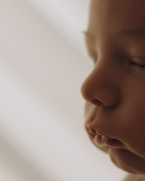 Leon — Primeiros dias