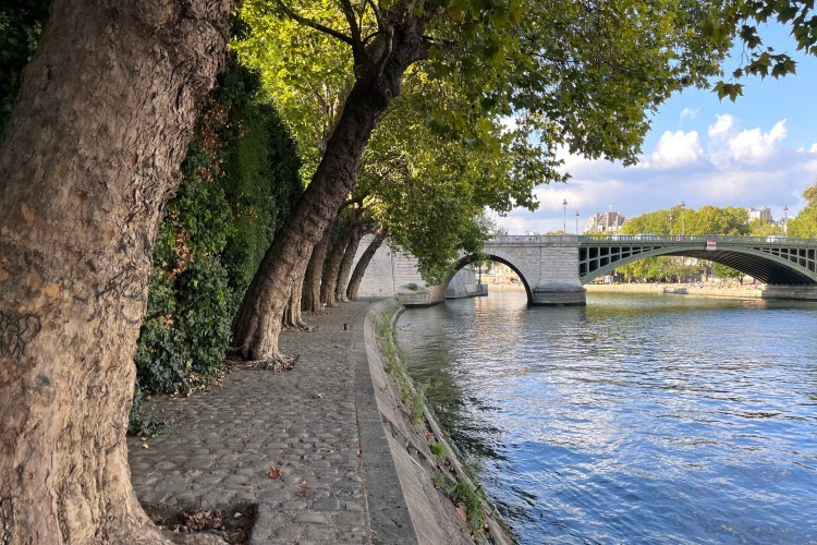 Съёмка острова Сите и Сен-Луи, набережные, левый берег