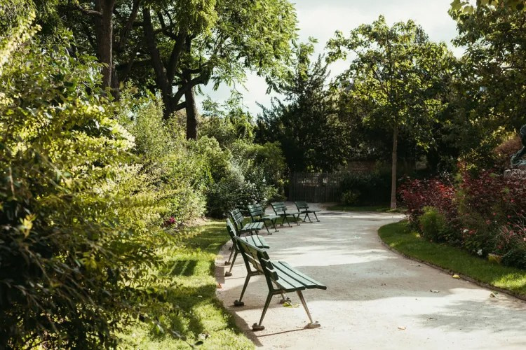 Съёмка острова Сите и Сен-Луи, набережные, левый берег