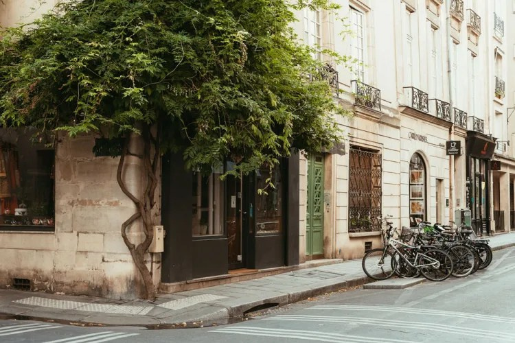 Съёмка острова Сите и Сен-Луи, набережные, левый берег