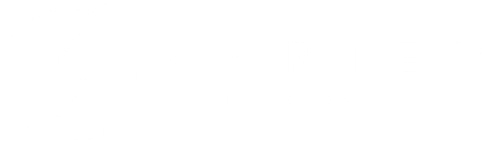 sariev.wfolio.pro
