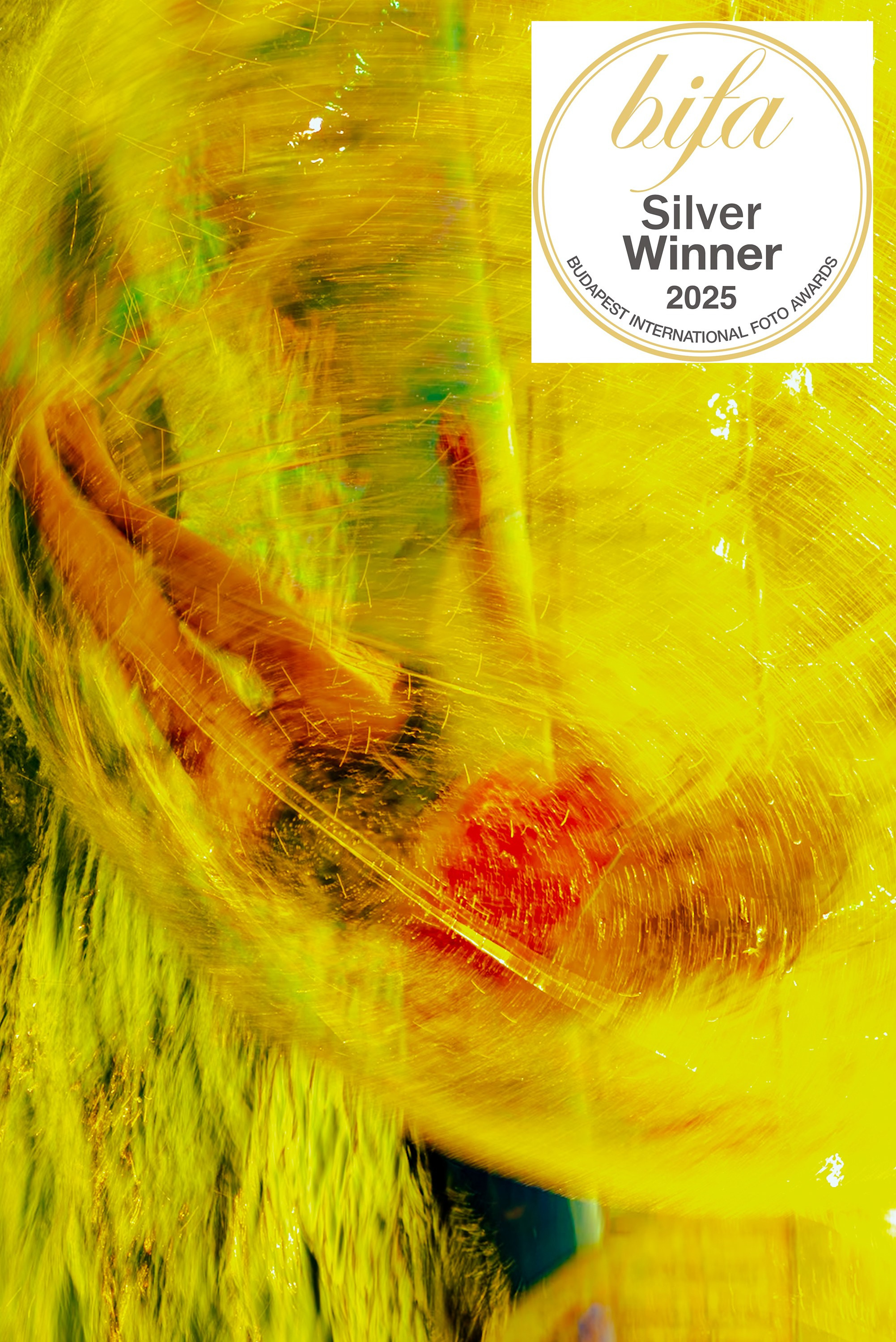 Awards 2025. Ekaterina Tsurkina-Appina Photography Canada