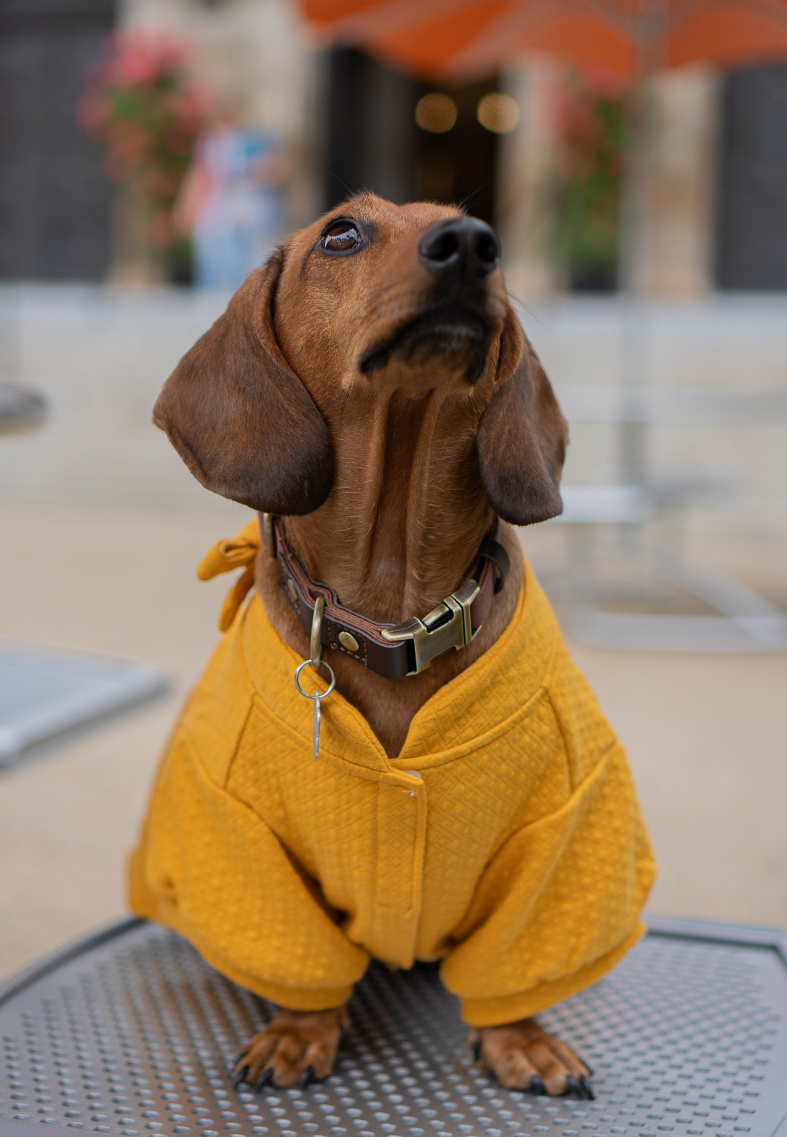 Across the World Together. Central Florida The Villages, Lady Lake Photography