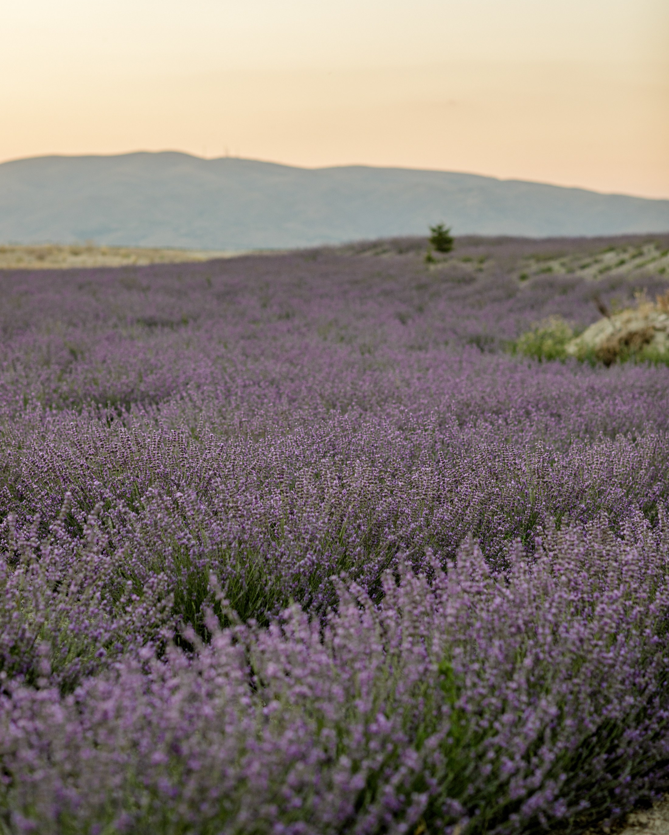 Activities in Cappadocia – Hot Air Balloon, Horseback Riding, Photoshoots & More. Your Guide to Cappadocia: Private Tours, Scenic Routes, Hot Air Balloon Rides, and More Adventures