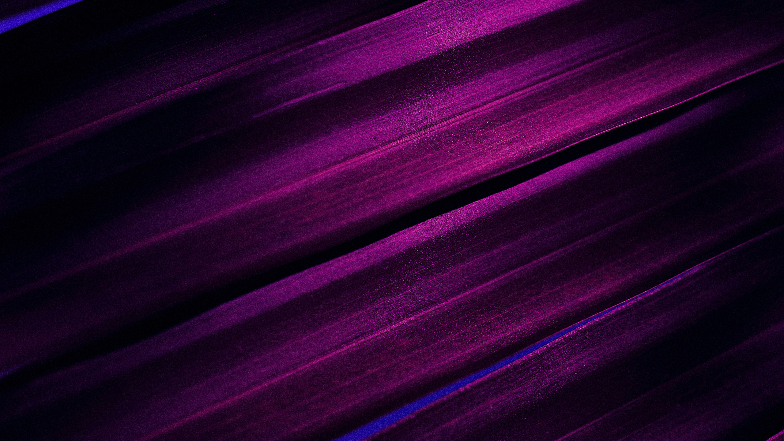 Echolith. Nature art photography by Petr Nabutov