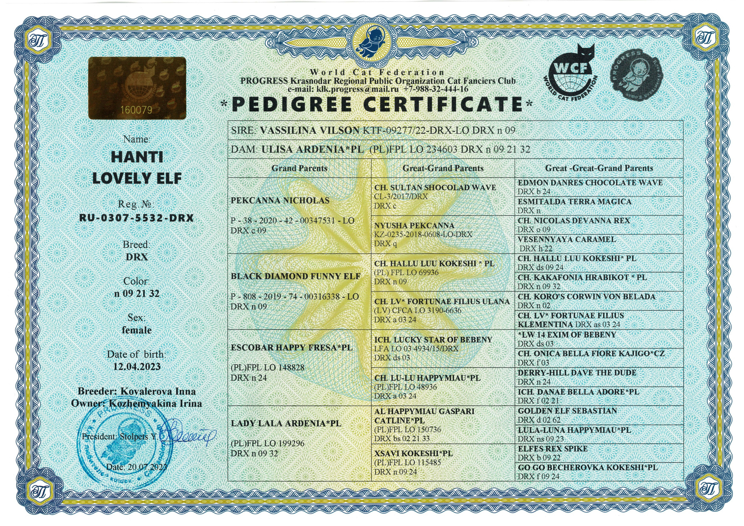 Pedigree Hanti. Devon Rex Pixie Cattery